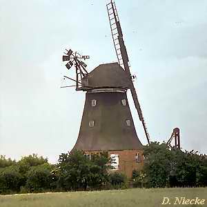 Windmhle Altkalen - historische Ansicht 1975