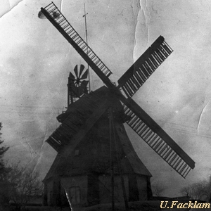 Windmhle Facklam in Baumgarten - Ansicht 1951