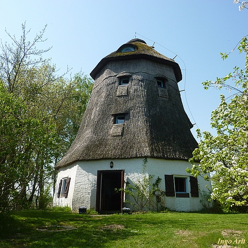 Windmhle Beckenkrug - Mhle in der mecklenburgischen Landschaft