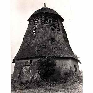 Windmhle Beckenkrug - Ruine Anfang der 70er Jahre