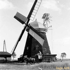 Erdhollnder in Dndorf - Ansicht 1951