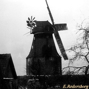 Windmhle in Dassow NeuVorwerk - Ansicht 1910