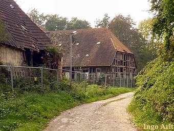 Wassermühle Eickhof - Ruinen von Stall und Wassermühle 2010