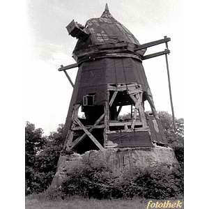 Erdhollnder in Gager - Ruine 1959