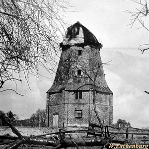 Windmühle Gnoien - Mühle kurz vor Abriß 1960