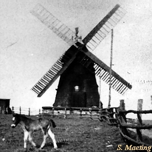 Windmhle Maeting Gnoien - Ansicht 1910