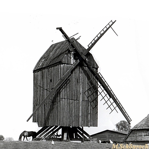 Bockwindmühle Eldena - Ansicht 1938