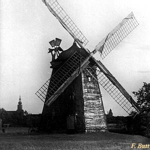 Windmhle Greifswald - in alter Pracht 1910