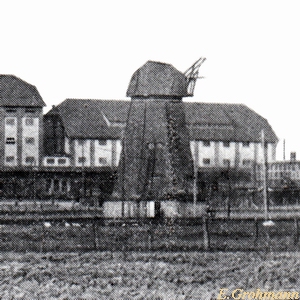 Windmühle Stein in Grimmen - kurz vor Abriß 1924