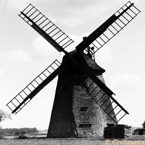 Windmühle Reimer in Grimmen - Ansicht um 1950