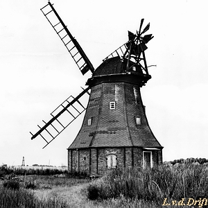 Windmühle Heinrichswalde - Ansicht 1975
