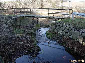 Redentiner Mhle - Reste Fundament am Wasserlauf