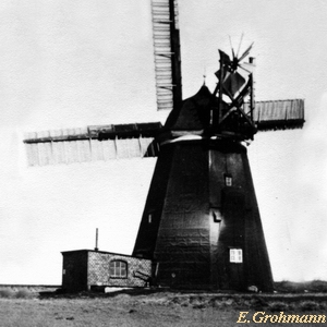 Windmhle in Horst - Ansicht 1930