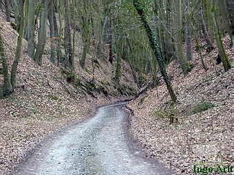 Wassermhle Karnin - Hohlweg