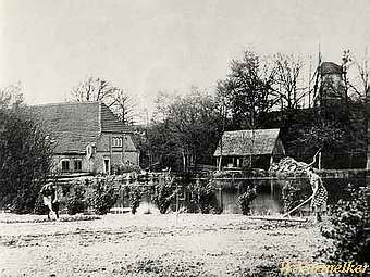 Wassermühle Klingendorf - Rest Turbine