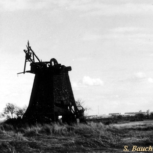 Windmhle in Lebbin - Sicht auf Neubrandenburg