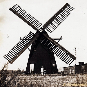 Windmhle Wilde in Loitz - Ansicht 1930