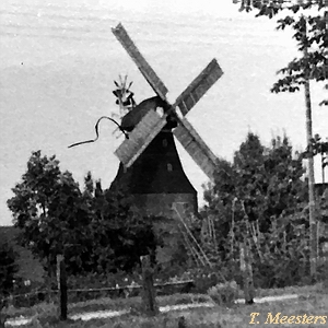 Windmhle Nantrow - in alter Pracht 1925