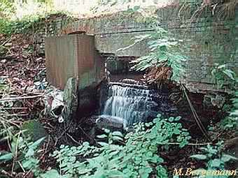 Maurinmühle in Neschow - letzte Reste heute