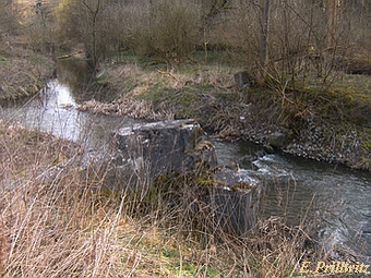 Papiermühle Neubrandenburg - Reste des Wehres