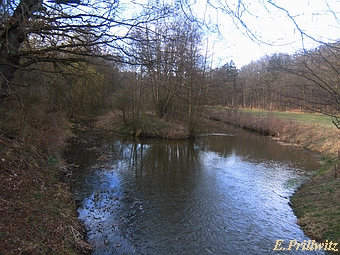 Papiermhle Neubrandenburg - Mhleninsel im Lindebach