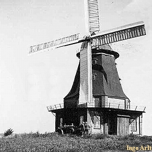 Windmhle Neukloster - in alter Pracht 1930