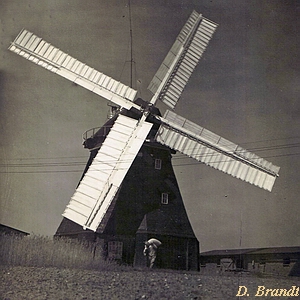 Windmhle Lth Neukloster - Ansicht 1920