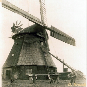 Windmhle Lth Neukloster - Flgelanbau 1930