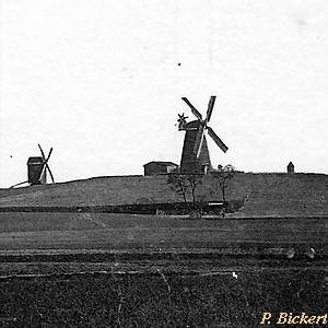Turmholländer in Neustrelitz - Blick von Alt- Strelitz auf die Mühlen