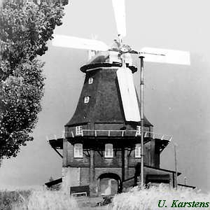 Galeriehollnder in Niendorf Poel - Mhle mit Ventikanten 1952