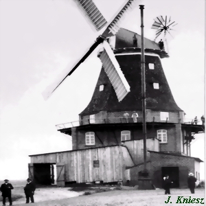 Galerieholländer in Niendorf Poel - Mühle mit Jalousieflügel 1940