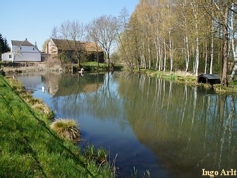 Wassermhle Papendorf - Mhlenteich