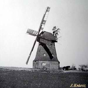 Windmhle in Penzlin - Ansicht 1950