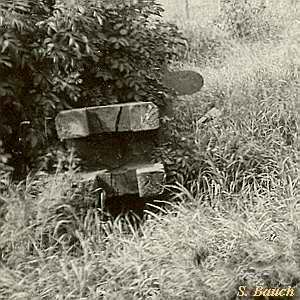Mhlenreste in Pepelow - Hausbaum - Ansicht 1987