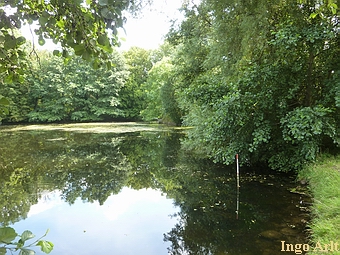 Wassermhle Pritzier - Mhlenteich unterhalb des Schlosses