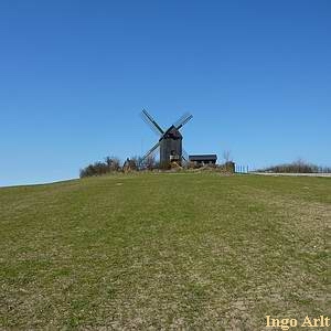 Bockwindmhle Pudagla - Ansicht Mhlenberg