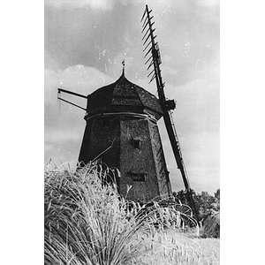 Erdhollnder in Richtenberg - Ansicht 1957
