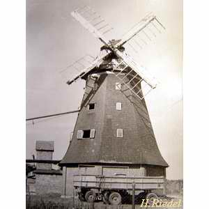 Windmhle in Rostock die Kstenmhle - mit zerstrten Flgel 1970