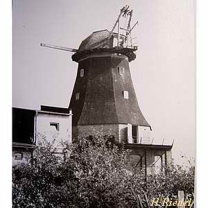 Windmühle Rostock die Conrady Mühle - Ansicht 1970