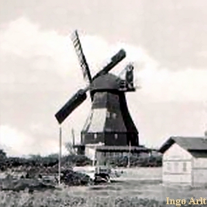 Windmhle in Selmsdorf - Ansicht 1953