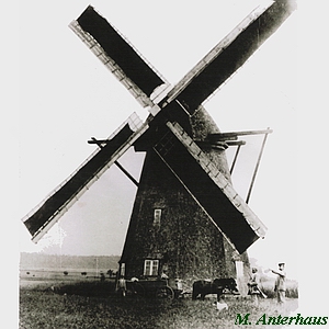 Windmhle Kruse in Siedenbollentin - Ansicht 1930