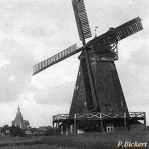 Windmhle Khlersche Stralsund - in alter Pracht 1910