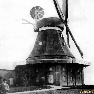 Windmühle Tarnow - in alter Pracht 1919