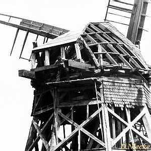 Windmhle Trpin - Sanierung 1980