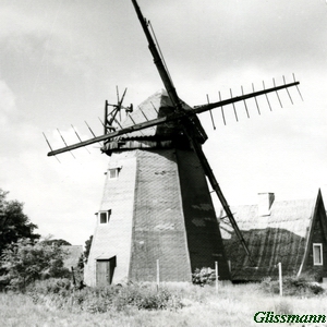 Windmhle Ueckermnde Pommernmhle - vor Umbau 1991