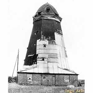 Windmhle Usedom Jassmann - Ansicht 1950