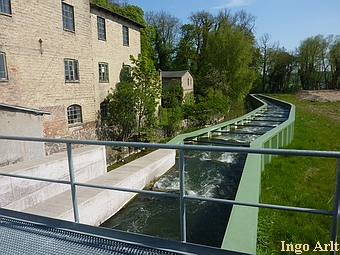 Wassermühle Warin - Monster Fischtreppe