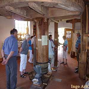 Windmhle Woldegk Museumsmhle - Besichtigung