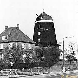 Windmühle Woldegk Seemühle - Ansicht 1995