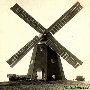 Windmühle Wolgast Braun - in alter Pracht 1910